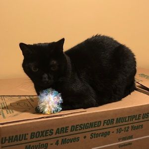 Meet your Posher, Michaela